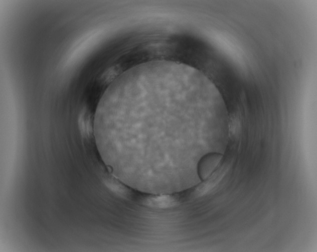 X0000113180431200909111058
