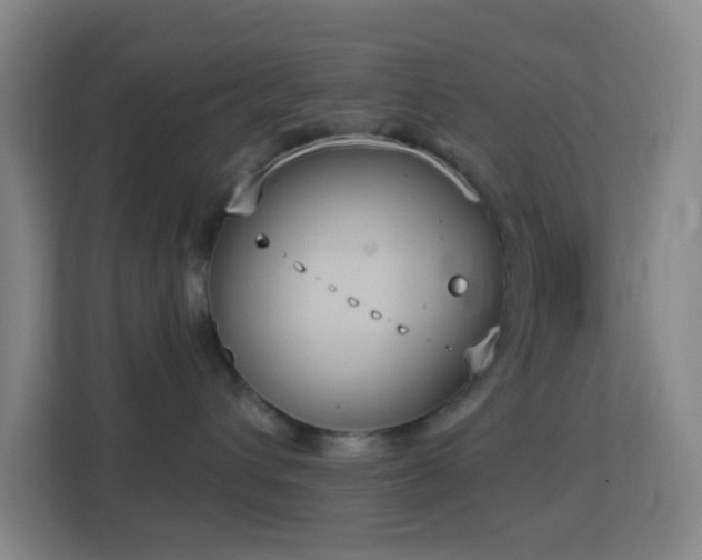 X0000113180432200909111058