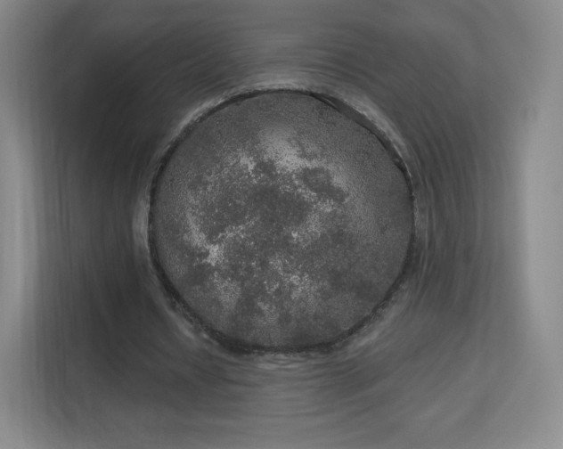 X0000113180434200909111058