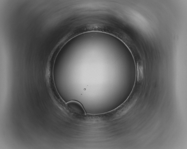 X0000113180435200909111058