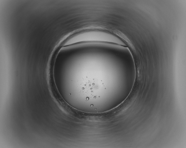 X0000113180436200909111058