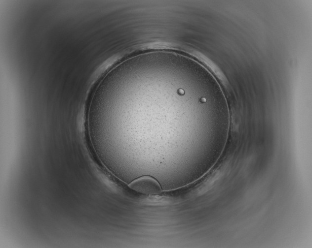 X0000113180437200909111058