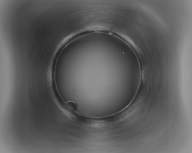 X0000113180438200909111058