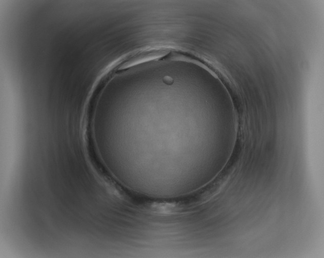 X0000113180440200909111058