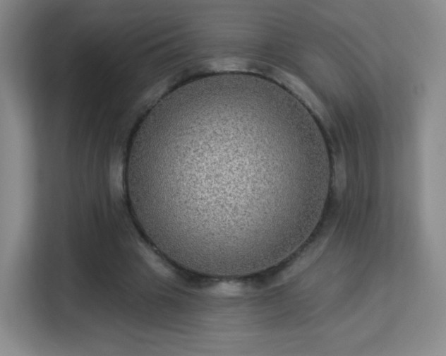 X0000113180441200909111058