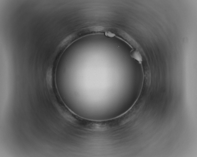 X0000113180442200909111058