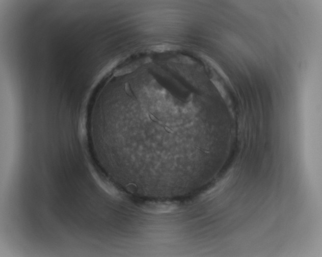 X0000113180443200909111058