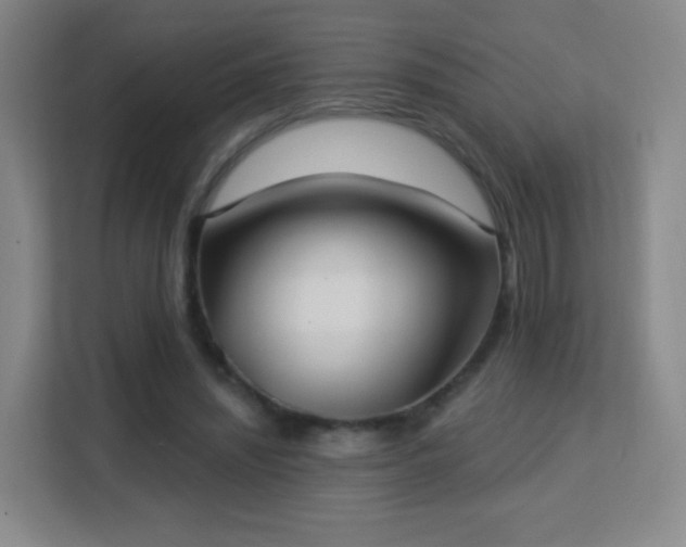 X0000113180444200909111058
