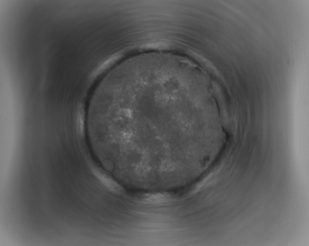X0000113180446200909111058