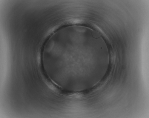 X0000113180447200909111058