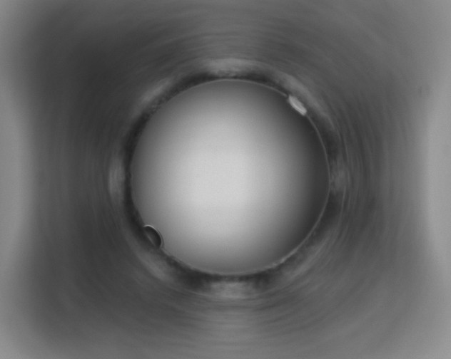 X0000113180448200909111058
