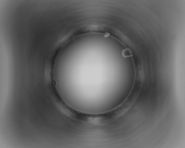 X0000113180450200909111058