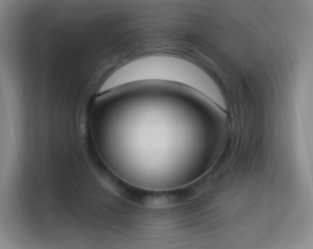 X0000113180452200909111058