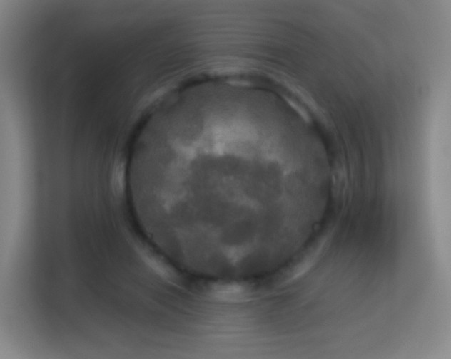 X0000113180454200909111058