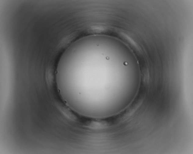 X0000113180455200909111058