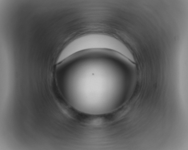 X0000113180456200909111058