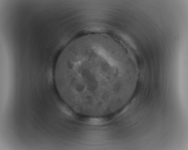 X0000113180457200909111058