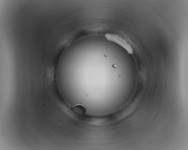 X0000113180458200909111058