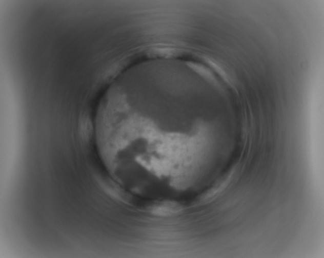 X0000113180459200909111058