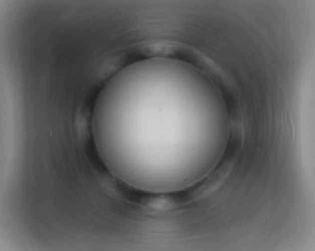 X0000113180460200909111058