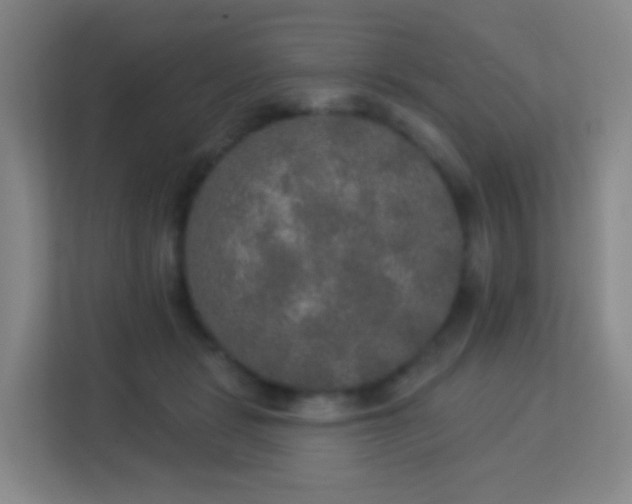 X0000113180461200909111058