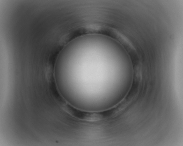 X0000113180463200909111058