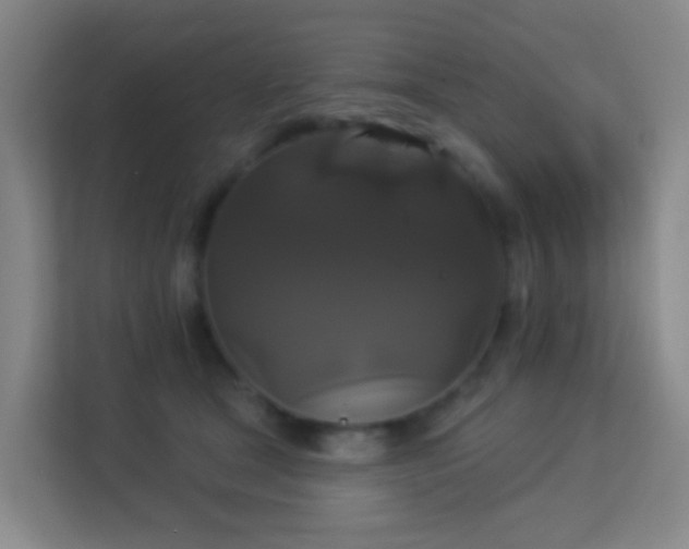 X0000113180465200909111058