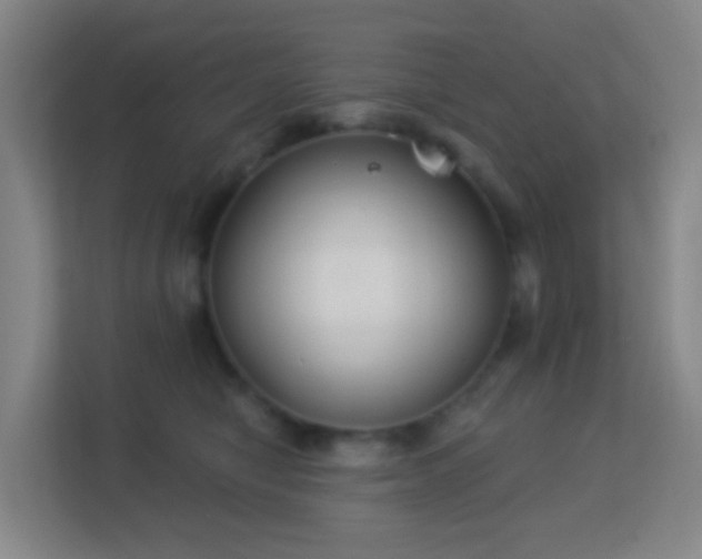 X0000113180470200909111058