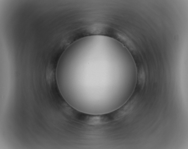 X0000113180473200909111058