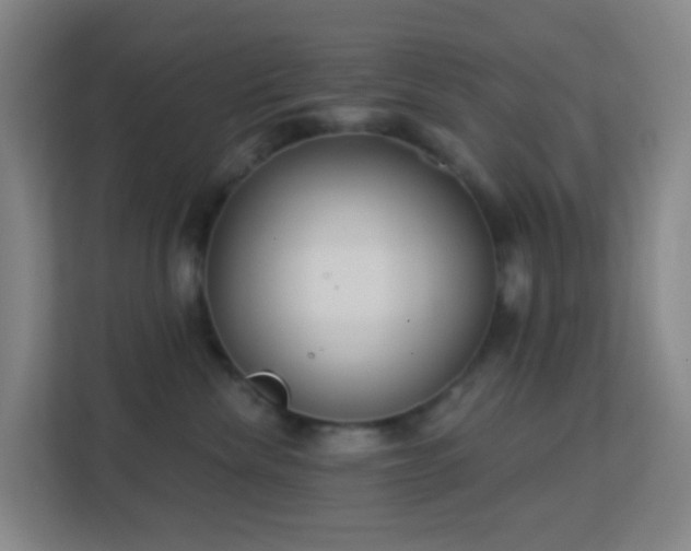 X0000113180476200909111058