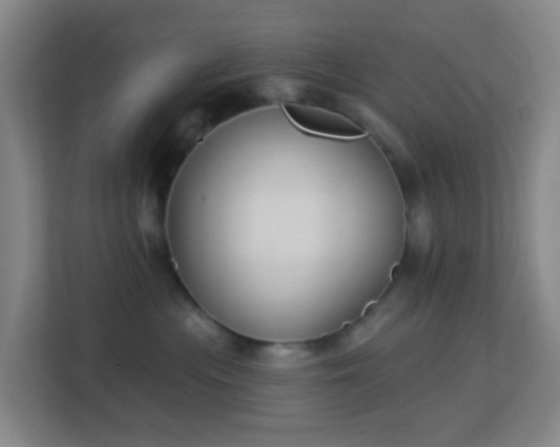 X0000113180477200909111058