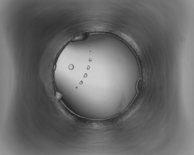X0000113180481200909111058