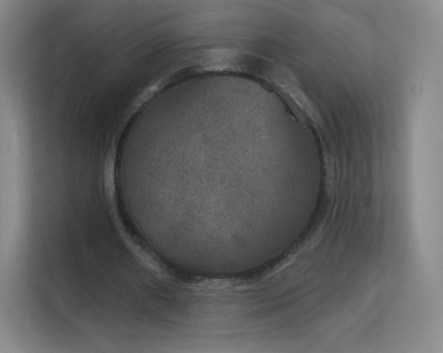 X0000113180482200909111057