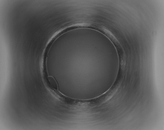 X0000113180484200909111057