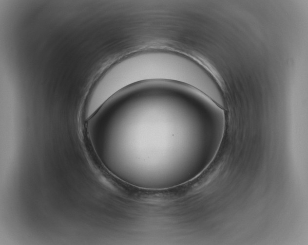 X0000113180485200909111057