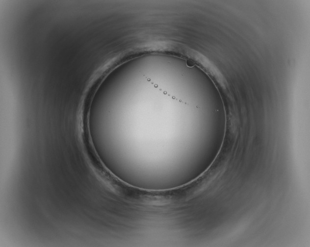 X0000113180486200909111057