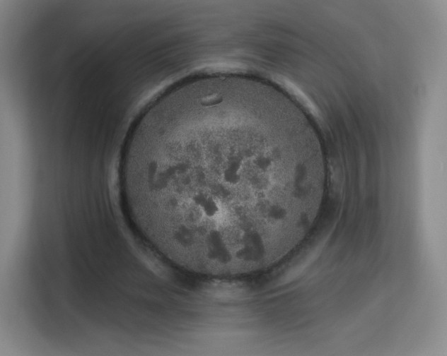 X0000113180487200909111057