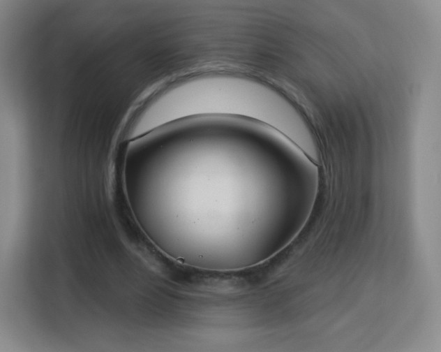 X0000113180488200909111057