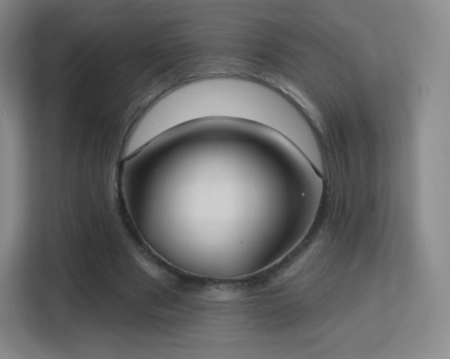 X0000113180489200909111057