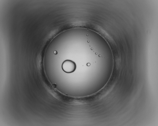 X0000113180490200909111057