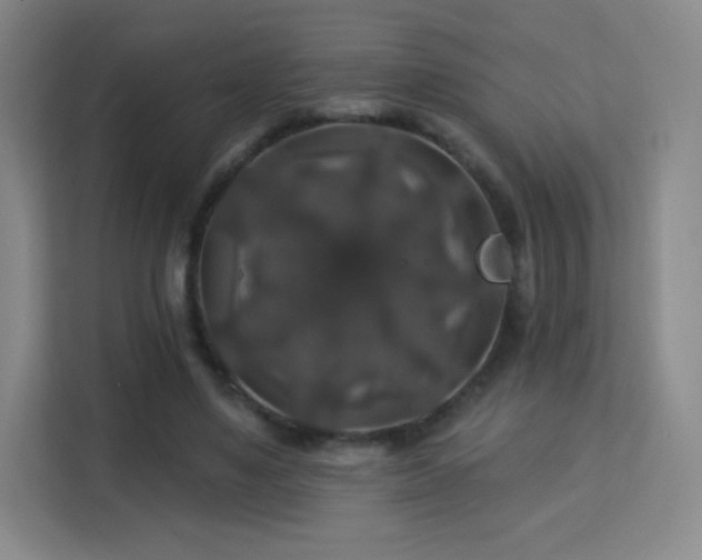 X0000113180491200909111057