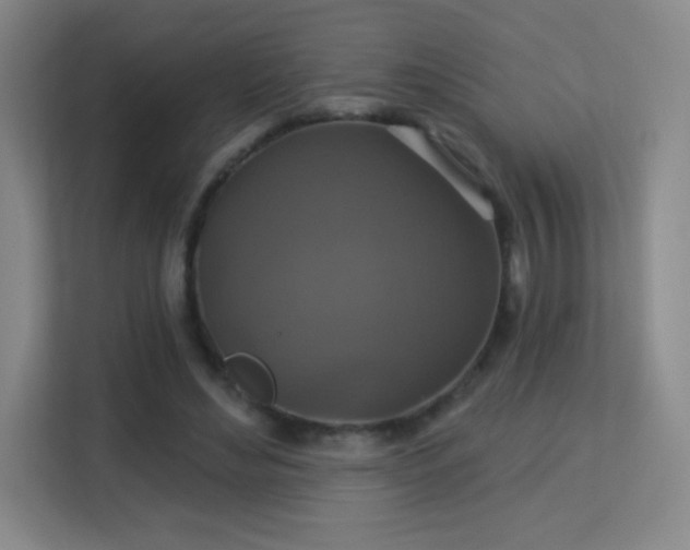 X0000113180492200909111057