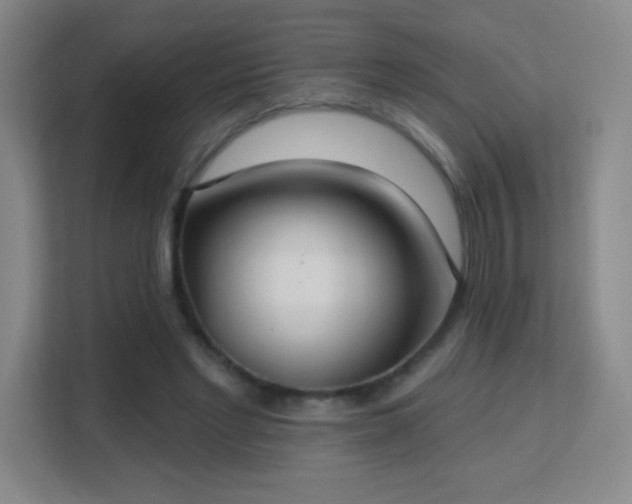 X0000113180493200909111057