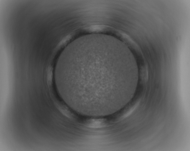 X0000113180495200909111057