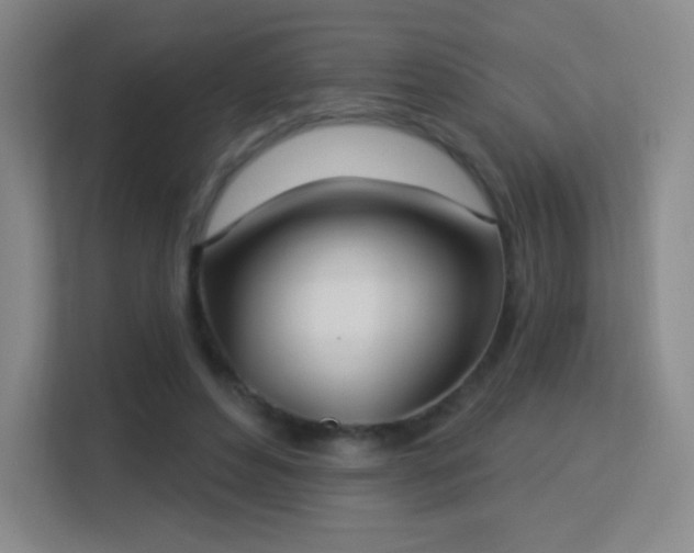 X0000113180496200909111057