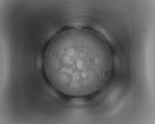 X0000113180499200909111057