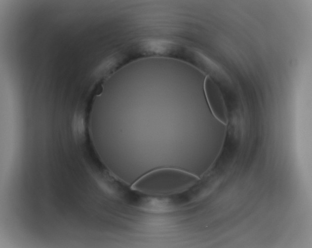 X0000113180500200909111057