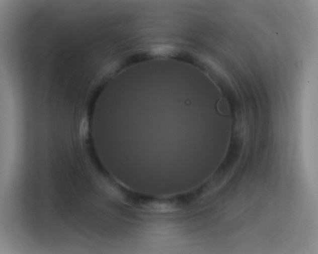 X0000113180502200909111057