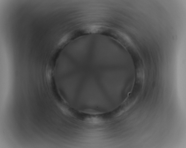 X0000113180503200909111057