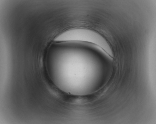 X0000113180504200909111057